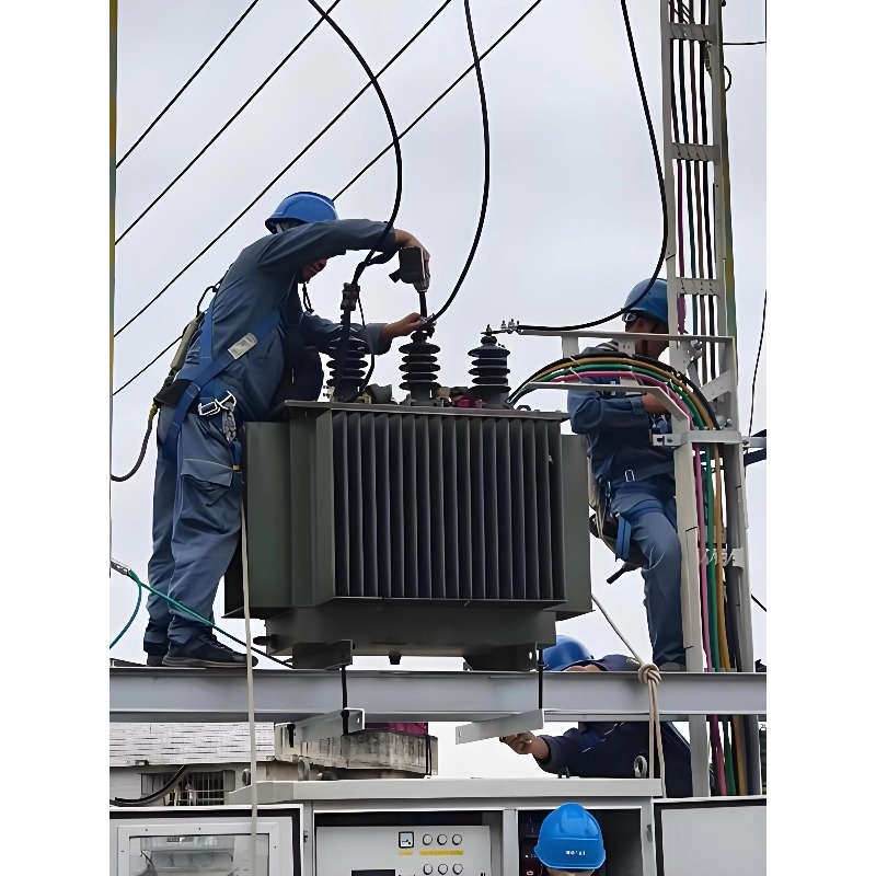 Euro Grid Liquid Immersed Tran - đánh giá và giá Heavy Equipment Supplier