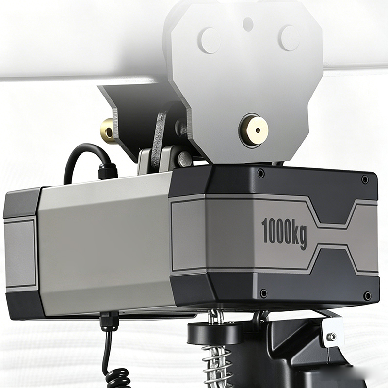 Coaxial Chain Electric Hoist,  - đánh giá và giá Electric Chain Hoist
