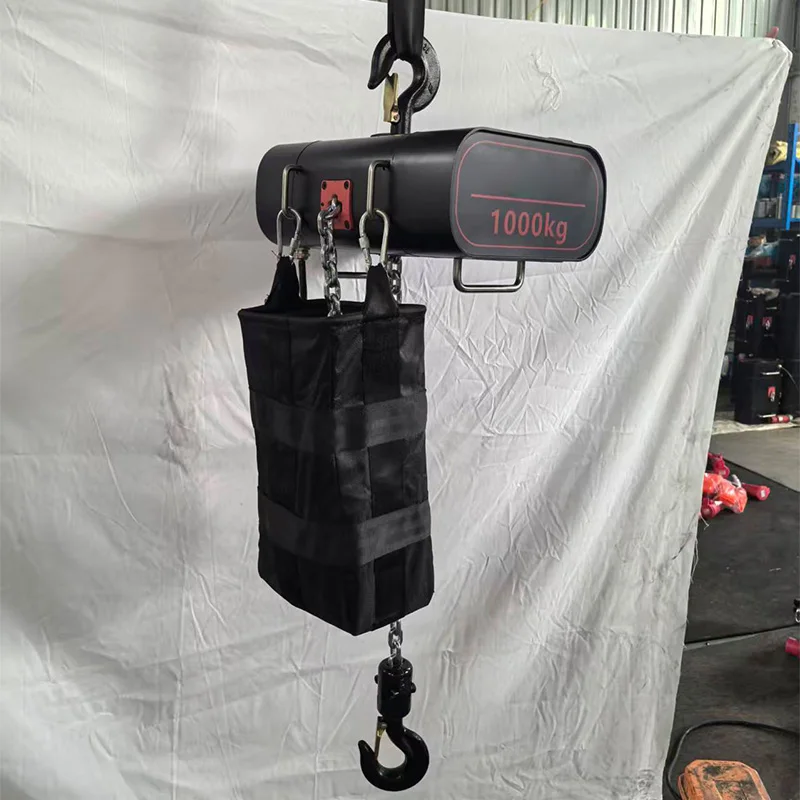 Stage-Grade Electric Chain Hoi - đánh giá và giá Electric Chain Hoist