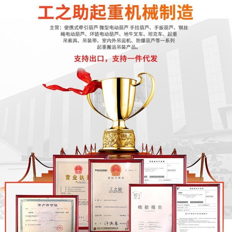 Cross-border Wholesale Chain E - đánh giá và giá Electric Chain Hoist